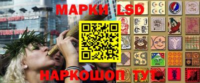 ПСИЛОЦИБИНОВЫЕ ГРИБЫ Янаул