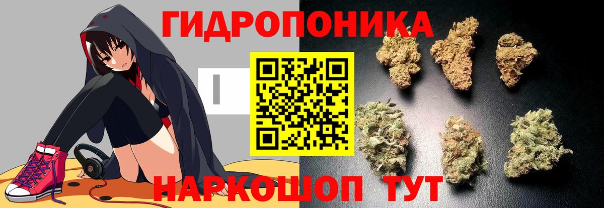 Канабис SATIVA & INDICA Лениногорск